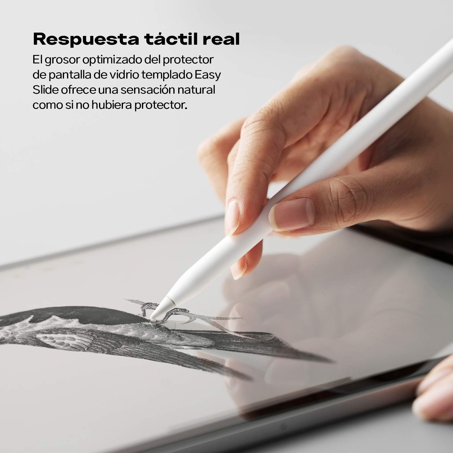 Sin-titulo-3_324e3258-90ab-47d6-a648-783b04572928.jpg