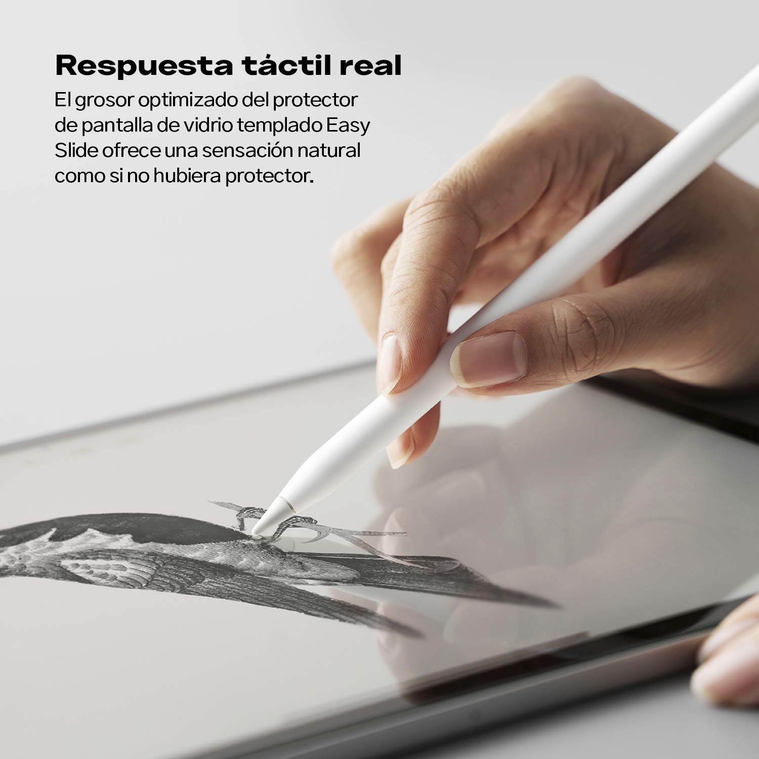 Sin-titulo-3_3cf9d172-2e0f-4c60-a8f6-3e01168ab74f.jpg