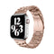 Correa Generic Stainless Steel Apple Watch (42mm / 41mm / 40mm / 38mm) - Generic APP - Correa Apple Watch/ BGSSAW40RGDastore