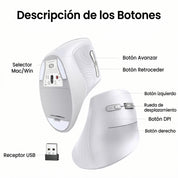 Mouse Ergonómico Vertical UGREEN Inalámbrico 4000 DPI – Blanco (MU008 / 45759)