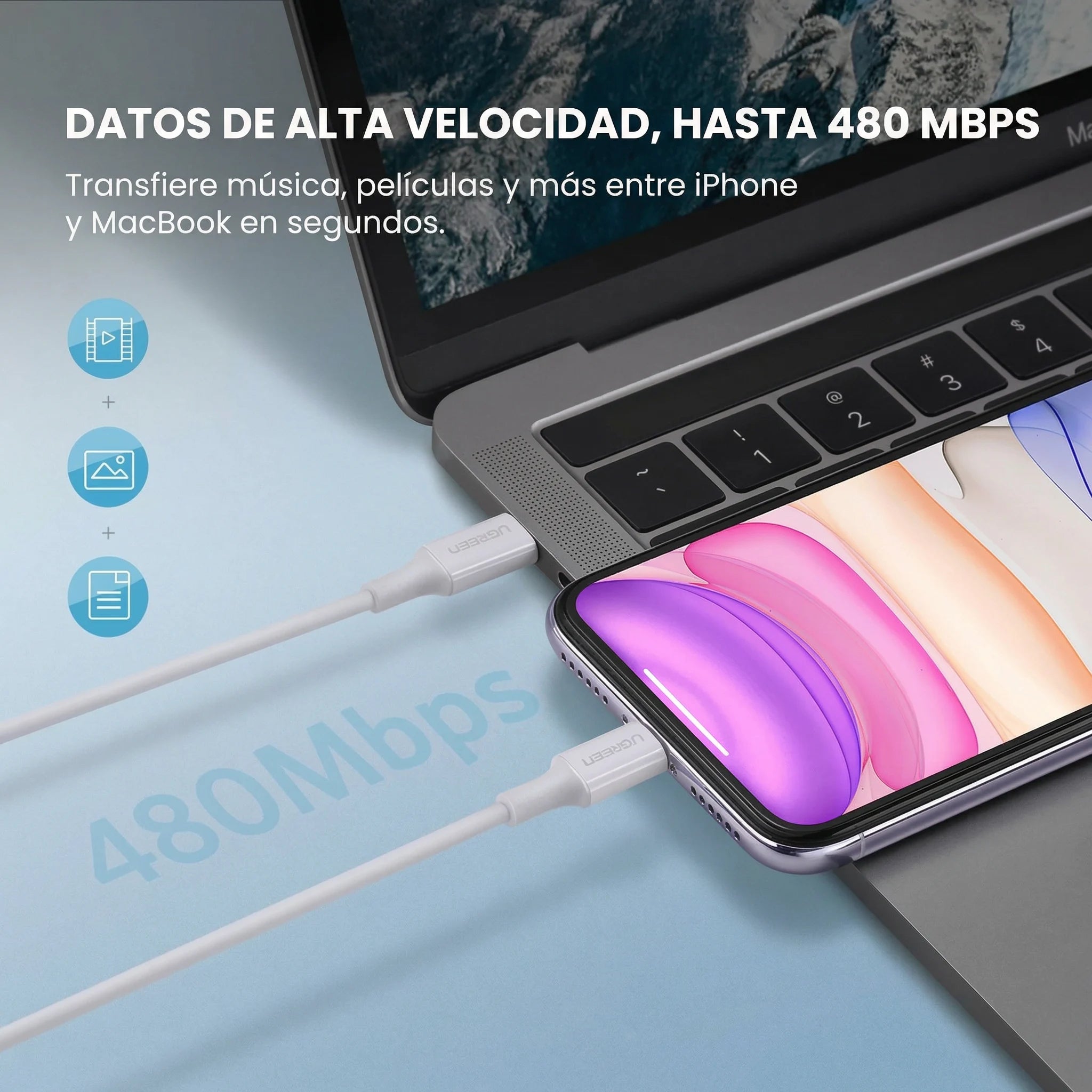 hf_20260309_194534_d1d1be48-c731-4dd5-a7b8-8c1dd4944131.webp