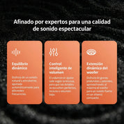 Xiaomi Xiaomi Sound Outdoor - Black