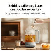 Xiaomi Multifunctional Kettle