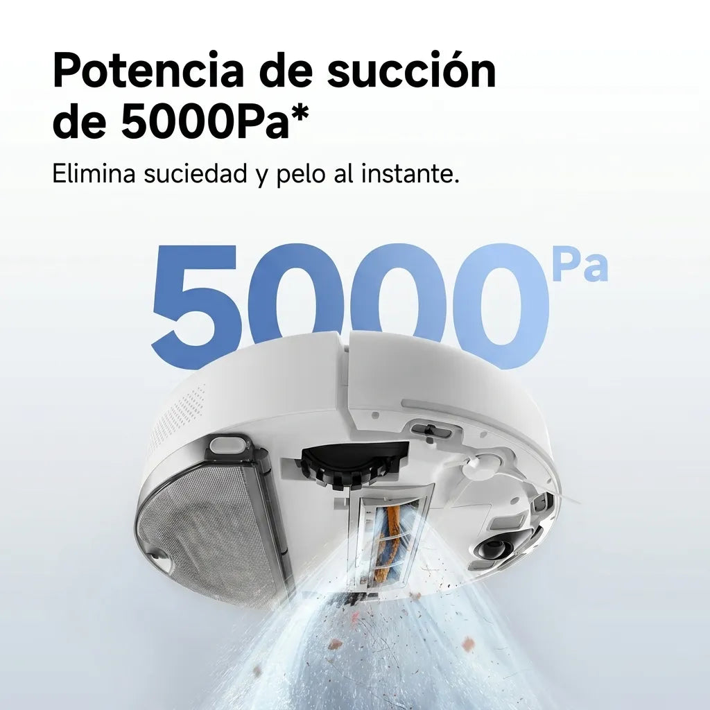 hf_20260529_184156_9b6855a9-2e39-45ff-bec1-7f2e72d97e55.webp
