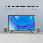 Xiaomi Mi Smart Speaker L09G
