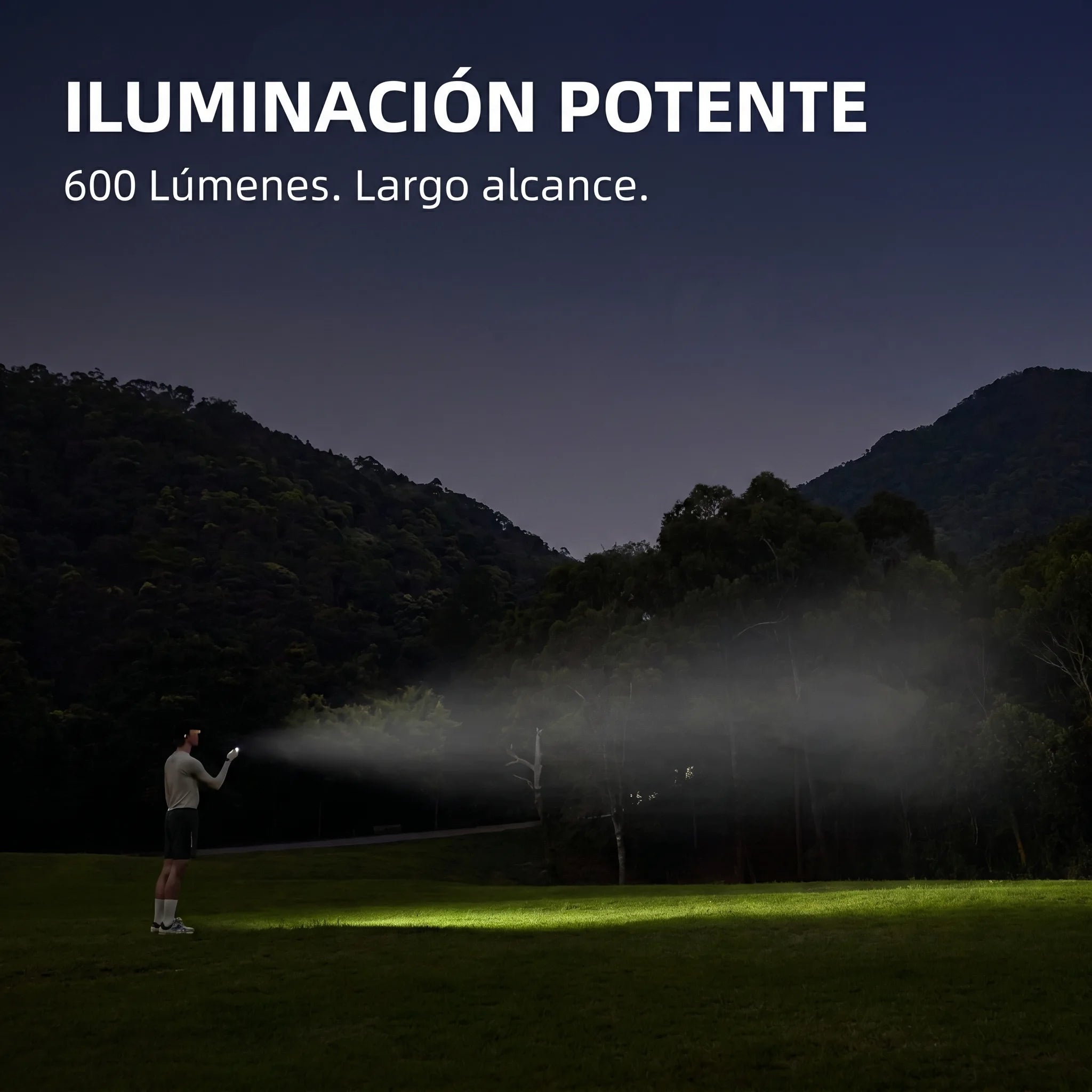 hf_20260609_194854_e91d8a85-8599-4fae-b347-a39dde917a76.webp