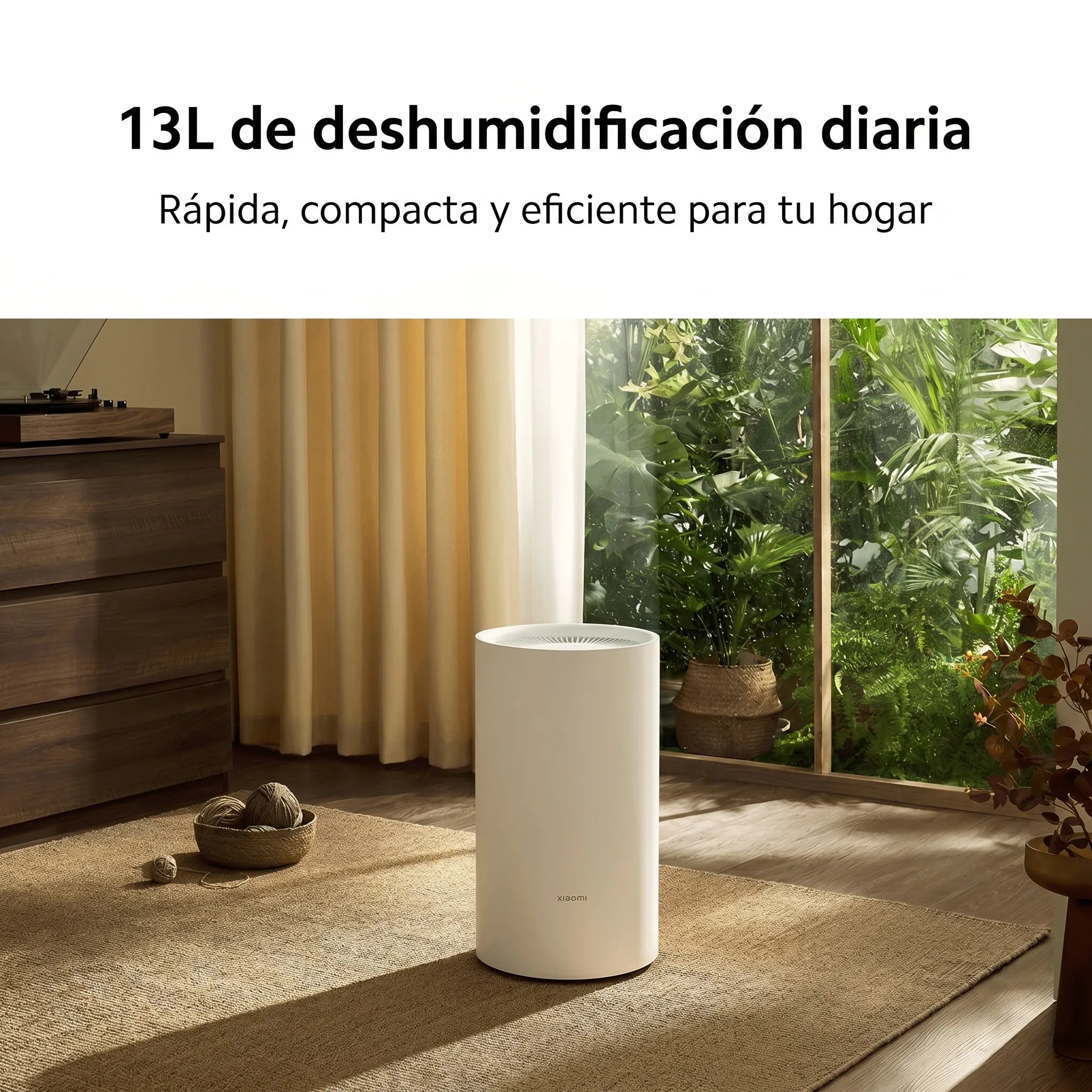 hf_20260609_203043_43f70b36-d135-4217-b2d1-a52b2987cdf3.webp