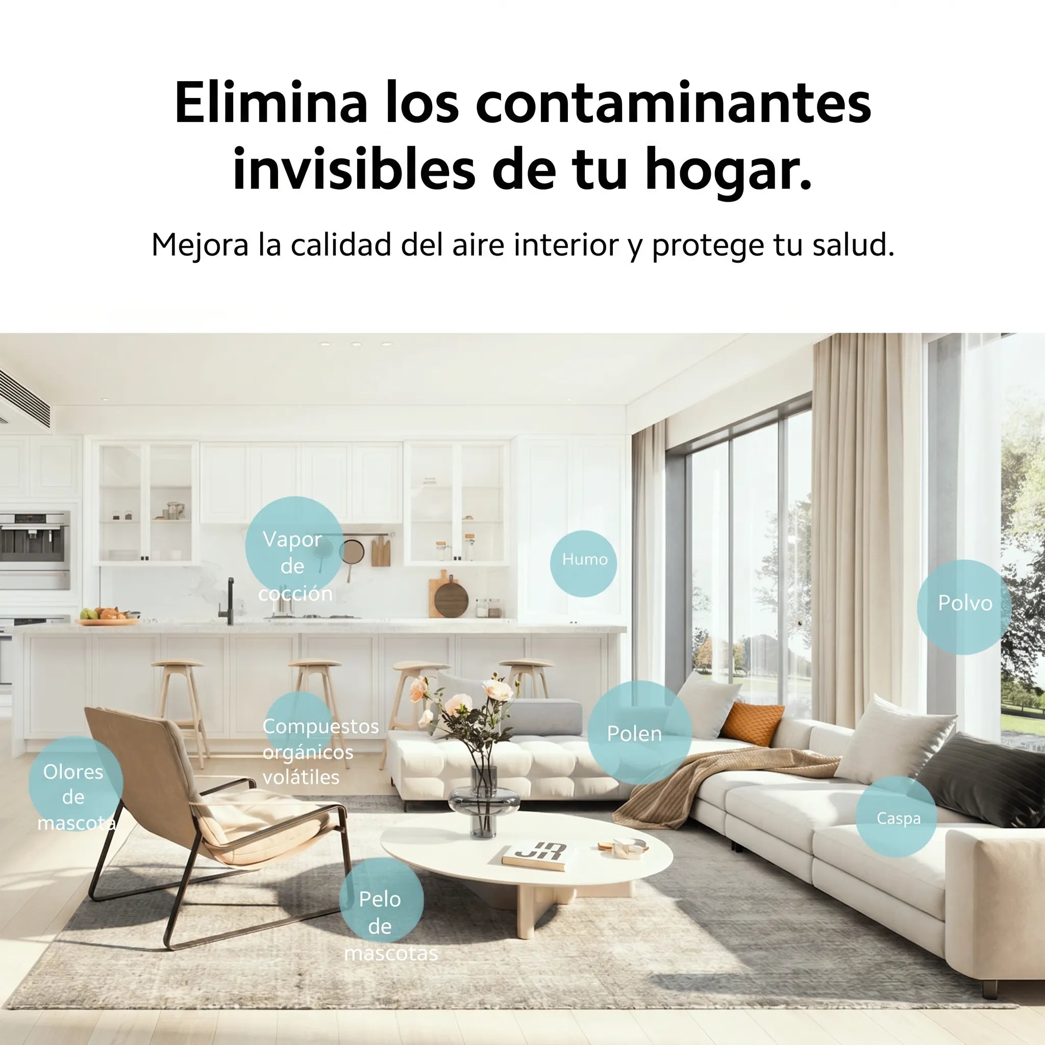 hf_20260609_210844_09fcb398-3f9f-4c1d-b699-e0f629ce998e.webp