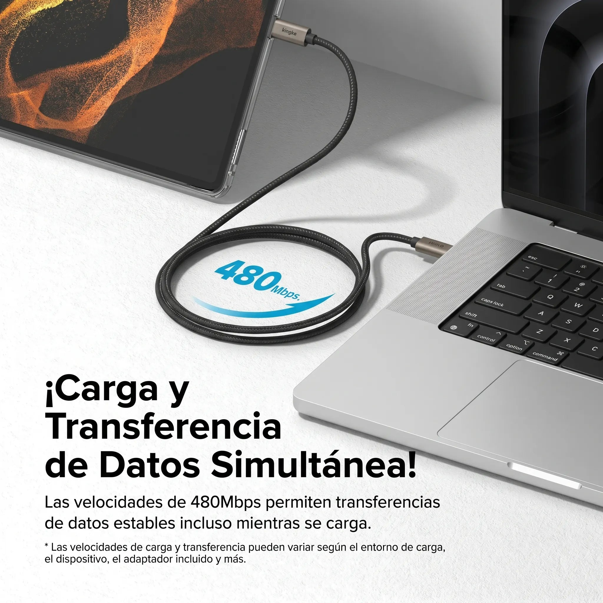 Cargador Ringke Carga Rápida 12W Trenzado Nylon Tipo C a C (1 Metro)