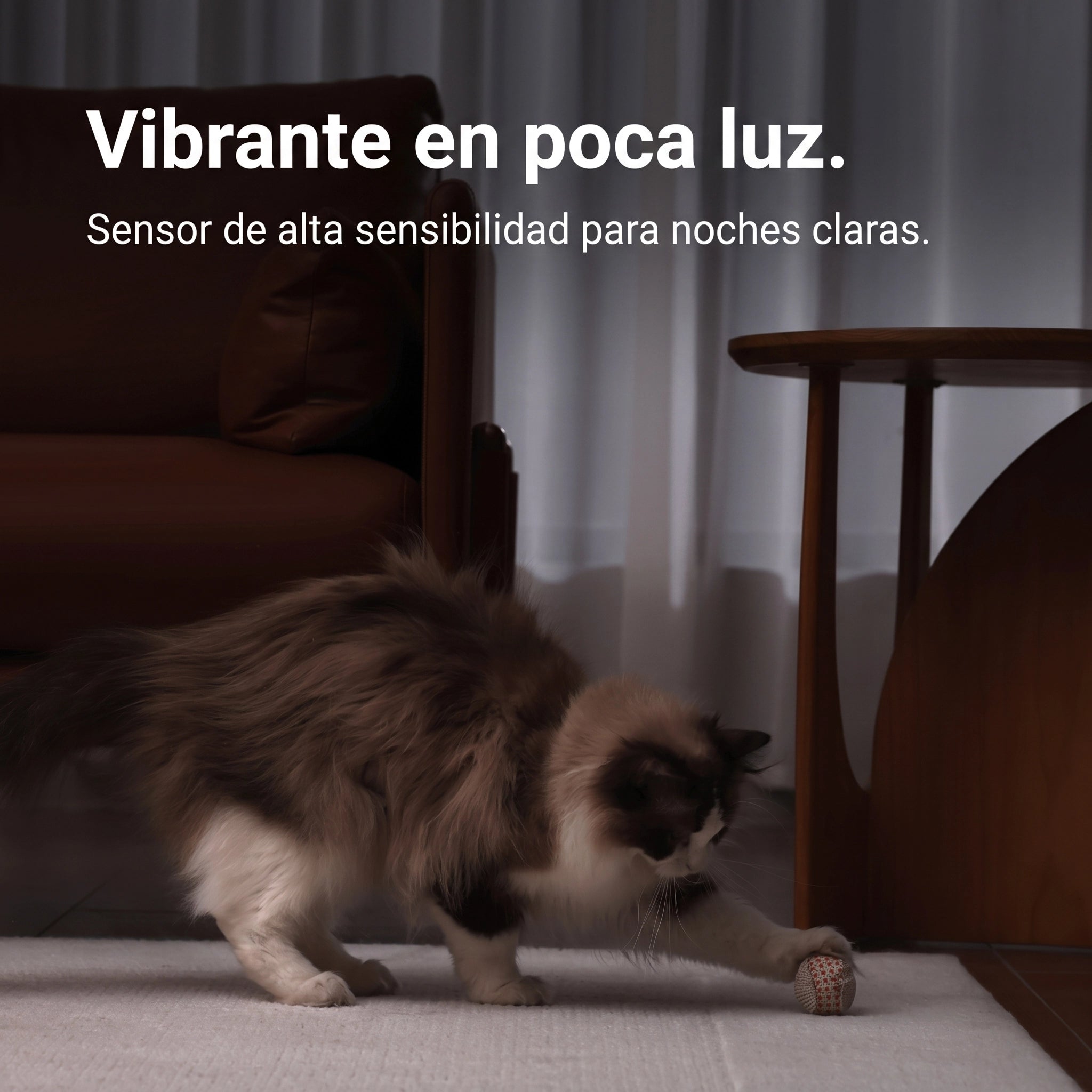Xiaomi Smart Camera C500 - Cámara De Seguridad 3K Con IA